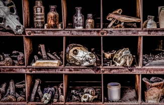 "Collection at Techatticup Gold Mine-Gritty Process" While I like the "straight" version of "Collection at Techatticup Gold Mine" I thought a grittier version might go well with the collection of bones and antiques. Turns out I like both equally.